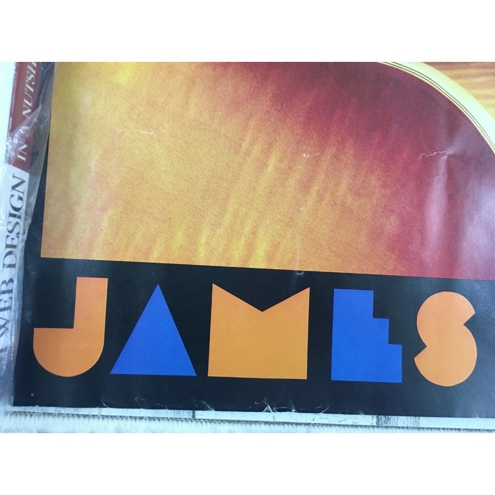 Vtg 1981 James Taylor Record Store Promo Poster Dad Loves His Work - Picture 2 of 12